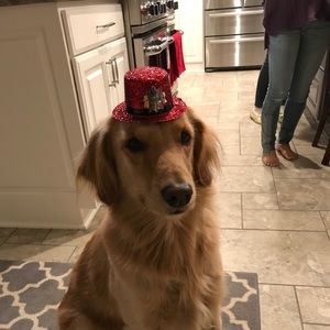 Meet your Posher, Elizabeth